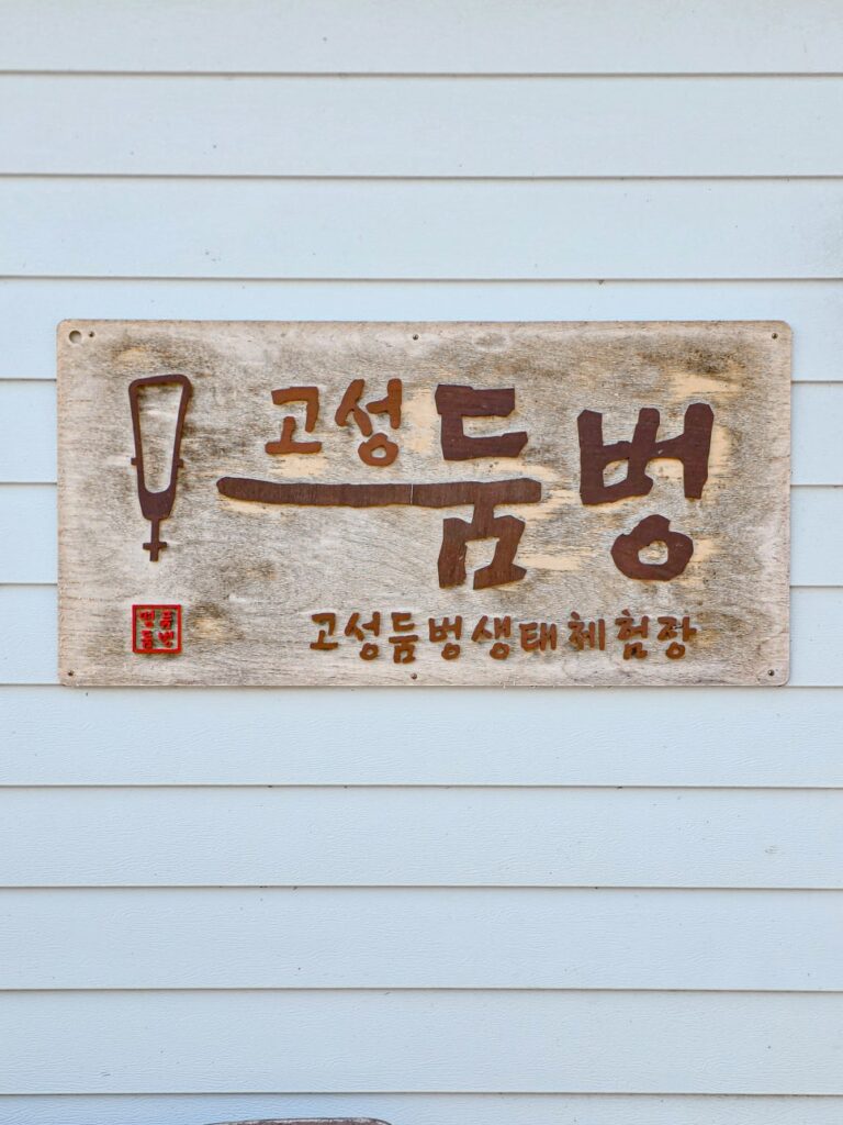 고성 1박 2일 둠벙의 숨바꼭질 — 11월 9일 생태 프로그램