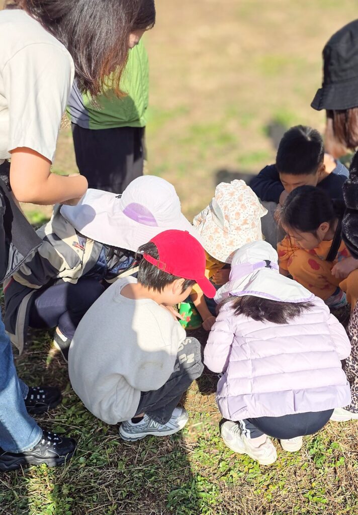 고성 1박 2일 둠벙의 숨바꼭질 — 11월 9일 생태 프로그램