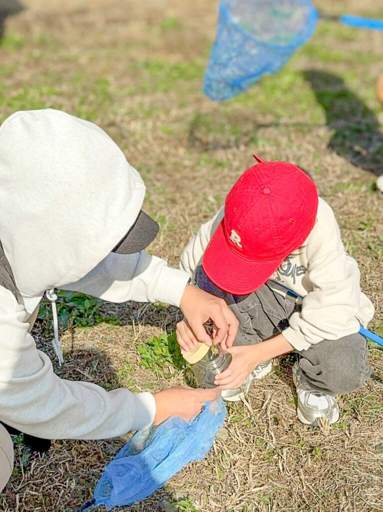 고성 1박 2일 둠벙의 숨바꼭질 — 11월 9일 생태 프로그램