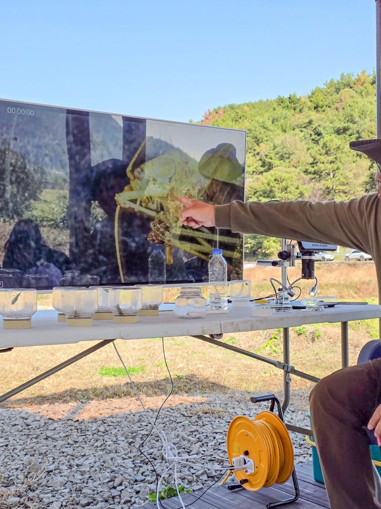 고성 1박 2일 둠벙의 숨바꼭질 — 11월 9일 생태 프로그램