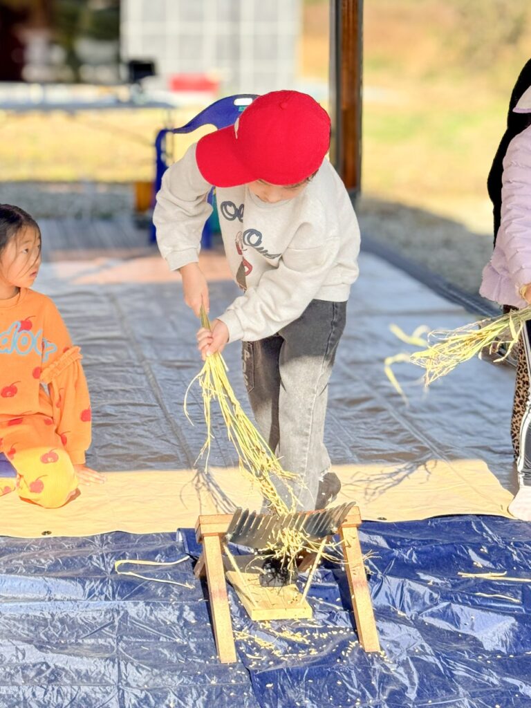 고성 1박 2일 둠벙의 숨바꼭질 — 11월 9일 생태 프로그램