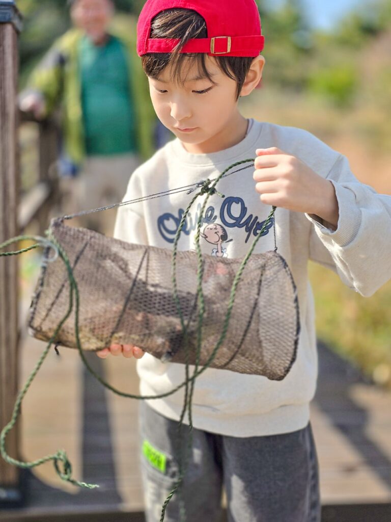 고성 1박 2일 둠벙의 숨바꼭질 — 11월 9일 생태 프로그램