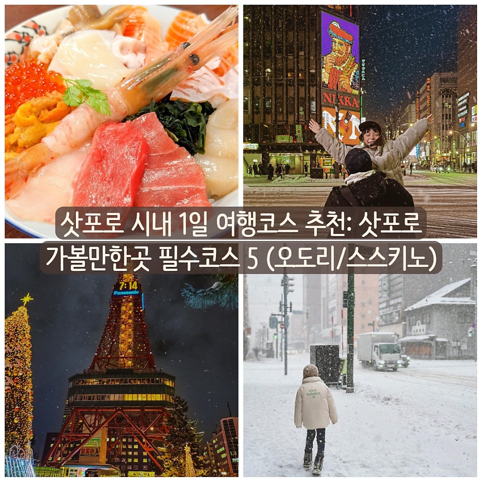 삿포로 시내 1일 여행코스 대표 이미지