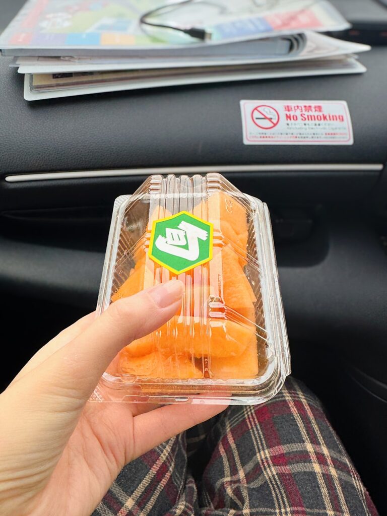 삿포로 시내 1일 여행코스 점심은 신선한 해산물 한 그릇 – 니조 시장 카이센동