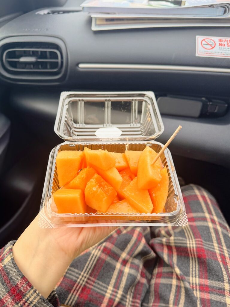 삿포로 시내 1일 여행코스 점심은 신선한 해산물 한 그릇 – 니조 시장 카이센동