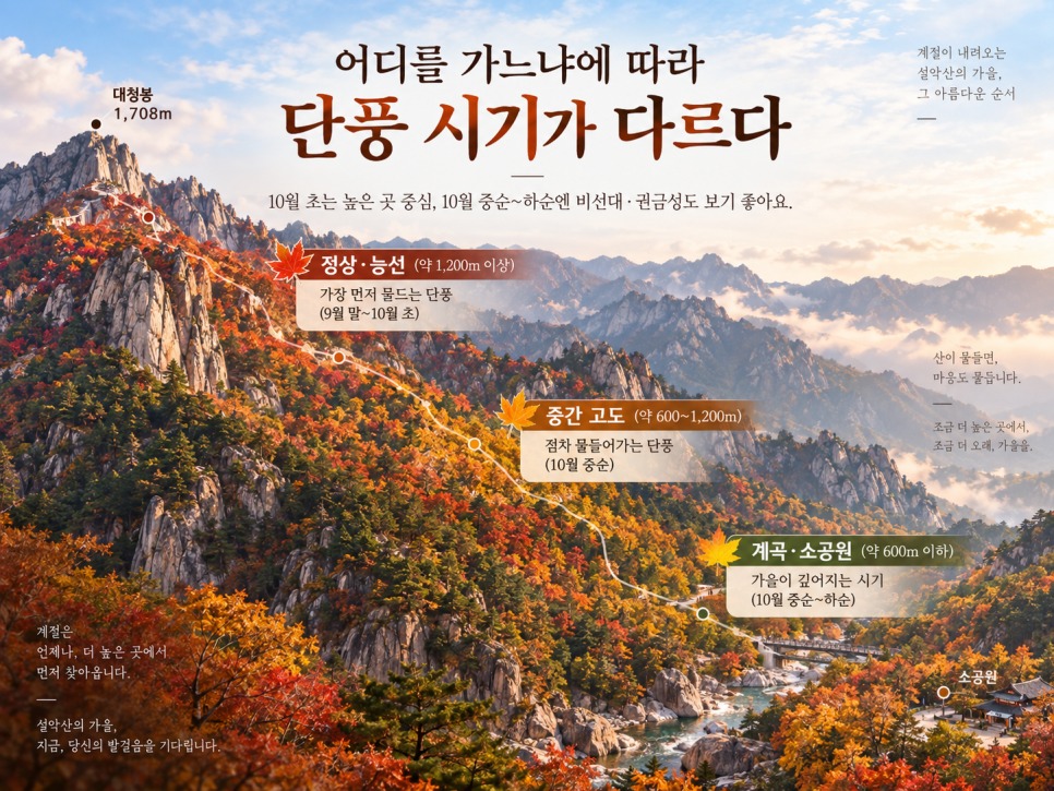 Valley trees still green below colorful peaks