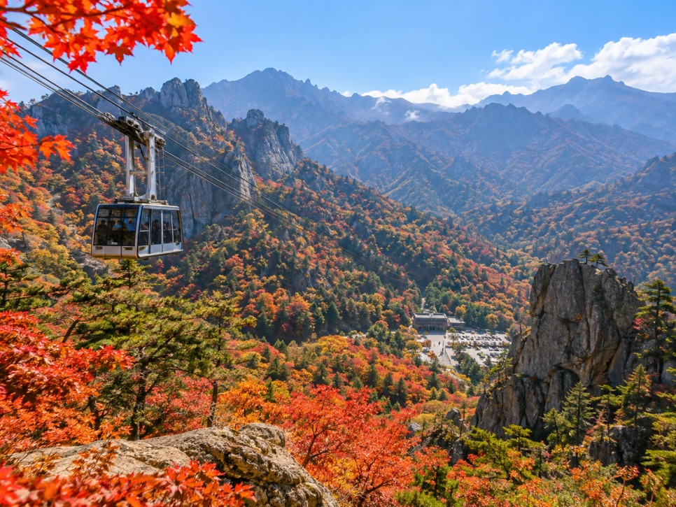 Golden leaves along the Seoraksan valley trail