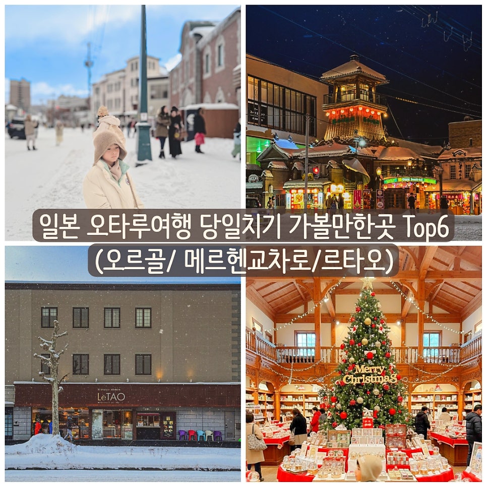 오타루 당일치기 대표 이미지