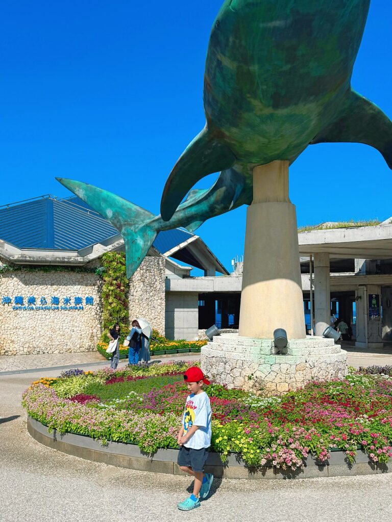 추라우미 수족관 오키나와 여행 필수 코스! 추라우미 수족관을 방문해야 하는 이유
