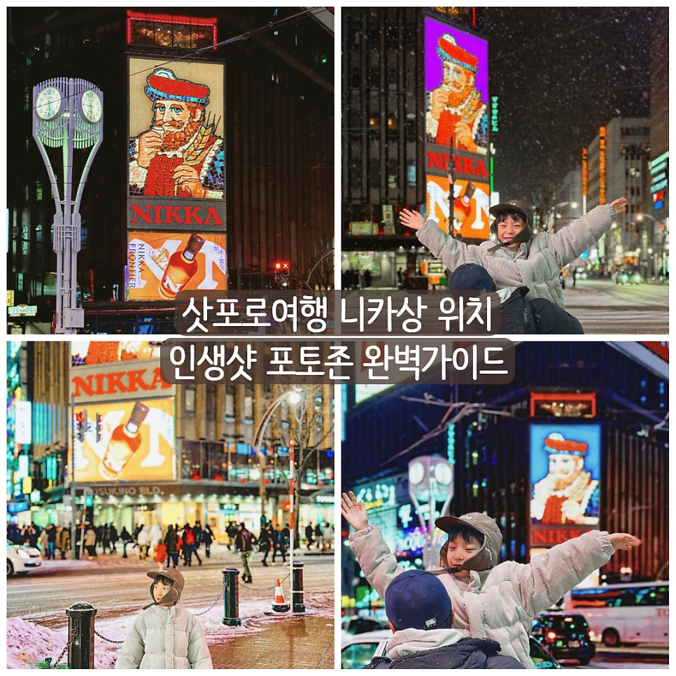 삿포로 니카상 대표 이미지