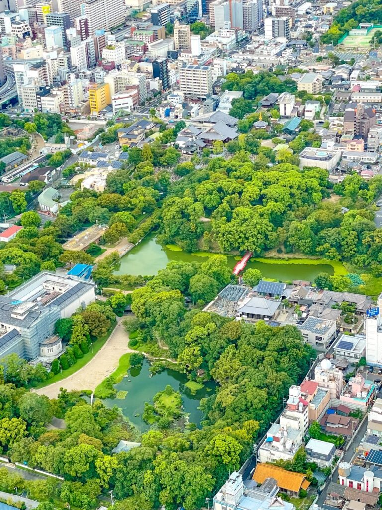 하루카스 300 전망대 하루카스 300의 진가 – 골든 타임 공략법