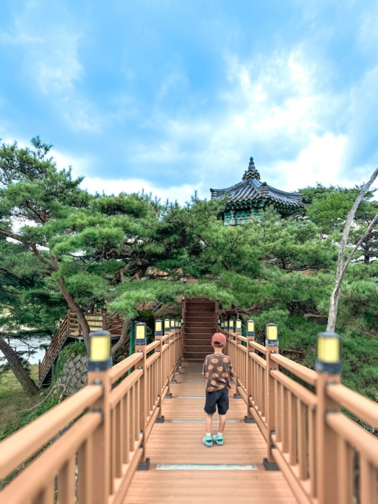 영동 강선대 선비의 풍류가 깃든 인문학적 명소