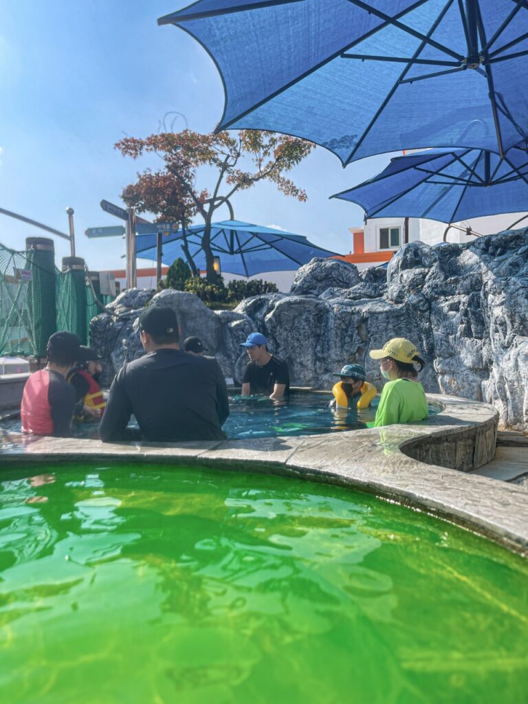 아산스파비스 사계절 내내 즐길 수 있는 아산스파비스