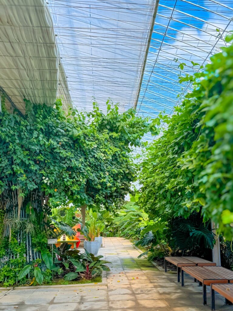 Insect hall