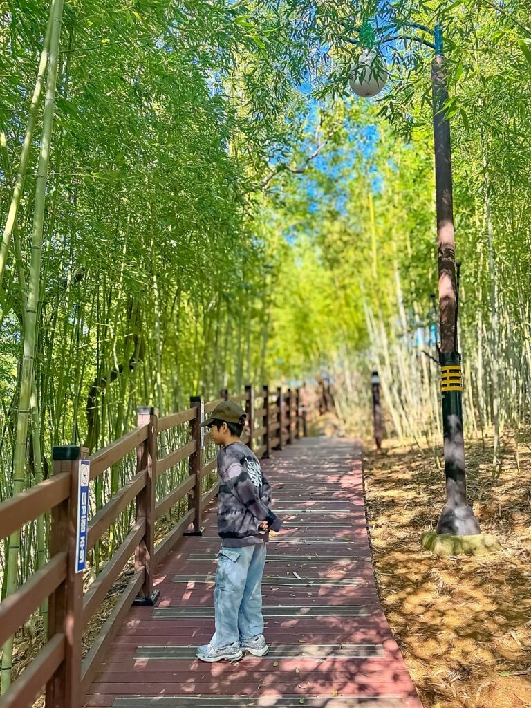 삼척 가족여행 이사부공원