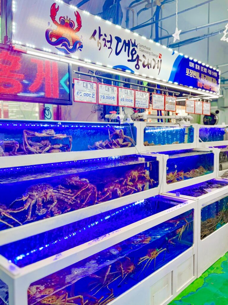 삼척 가족여행 테마 3. 삼척의 맛과 정 — “여행의 마지막은 중앙시장”