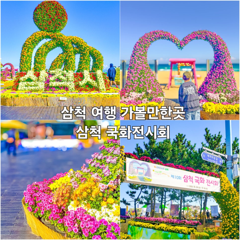 삼척 국화전시회 대표 이미지