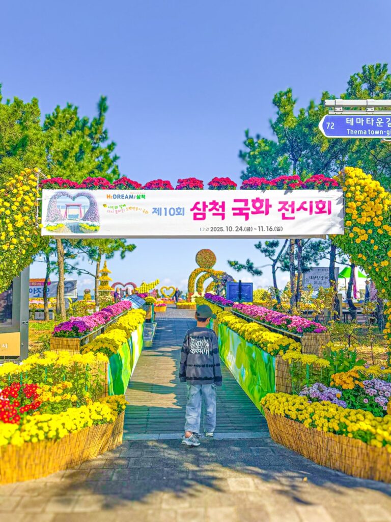 삼척 국화전시회