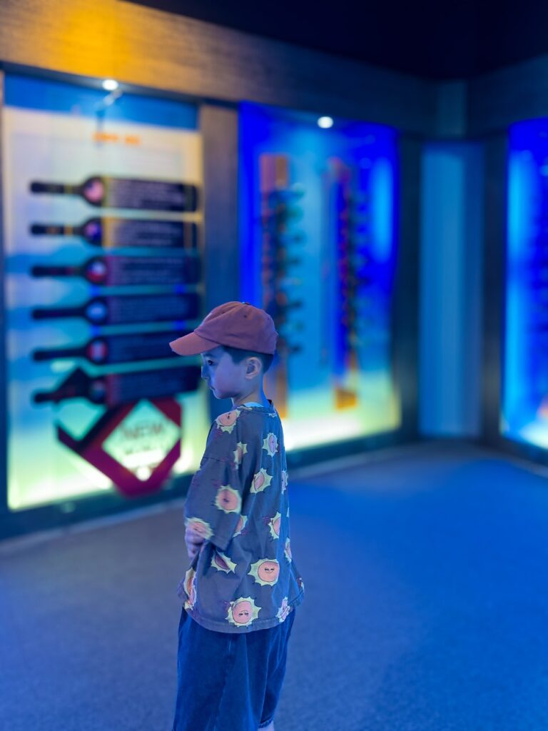 영동 와인터널 포도향이 가득한 영동의 상징, 영동 와인터널