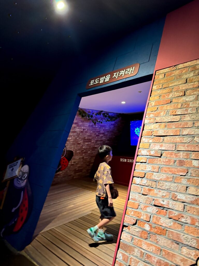 영동 와인터널 비 오는 날 완벽한 실내 여행코스