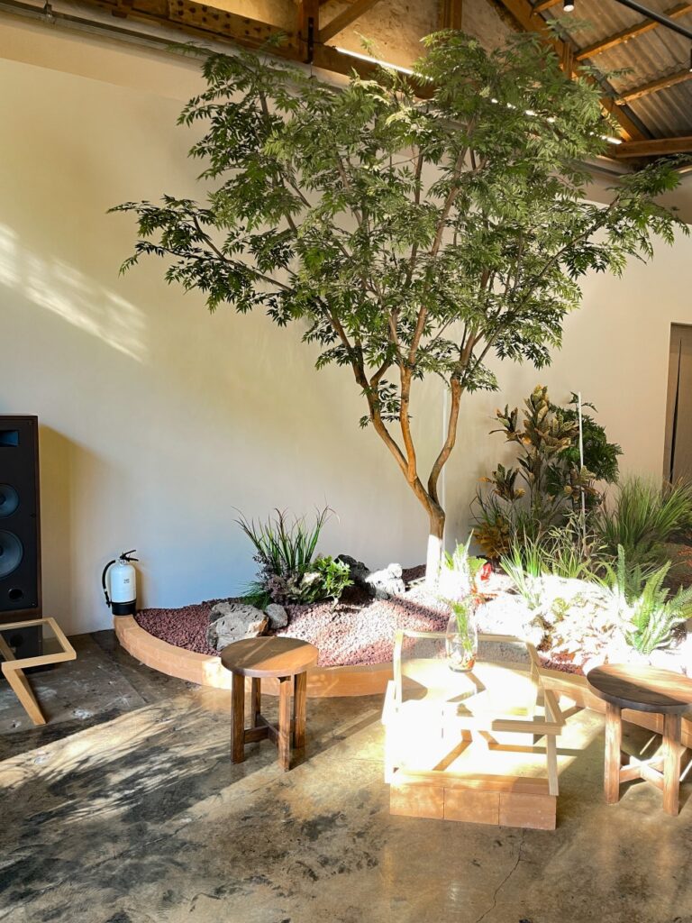 Bamboo and plants