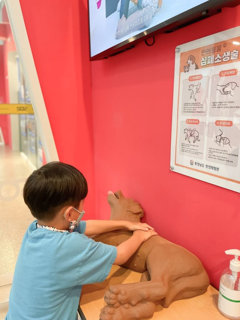 충청남도 안전체험관 몸으로 배우는 생존의 기술, 충청남도 안전체험관