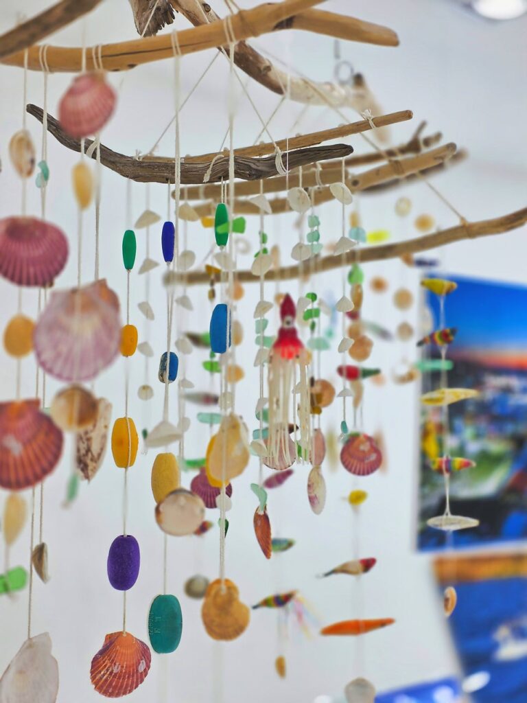 Shells and driftwood