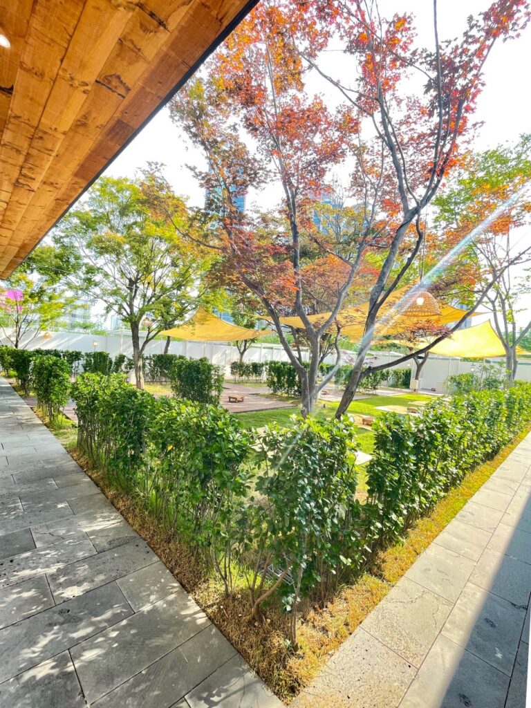 Picnic setting