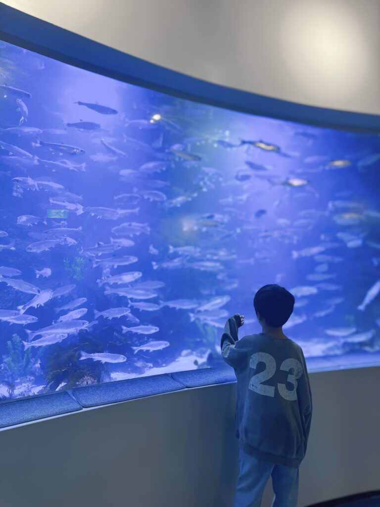 Aquarium entrance