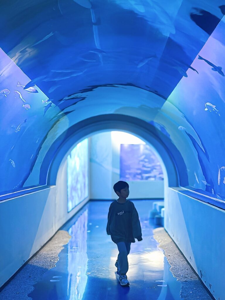 Undersea tunnel