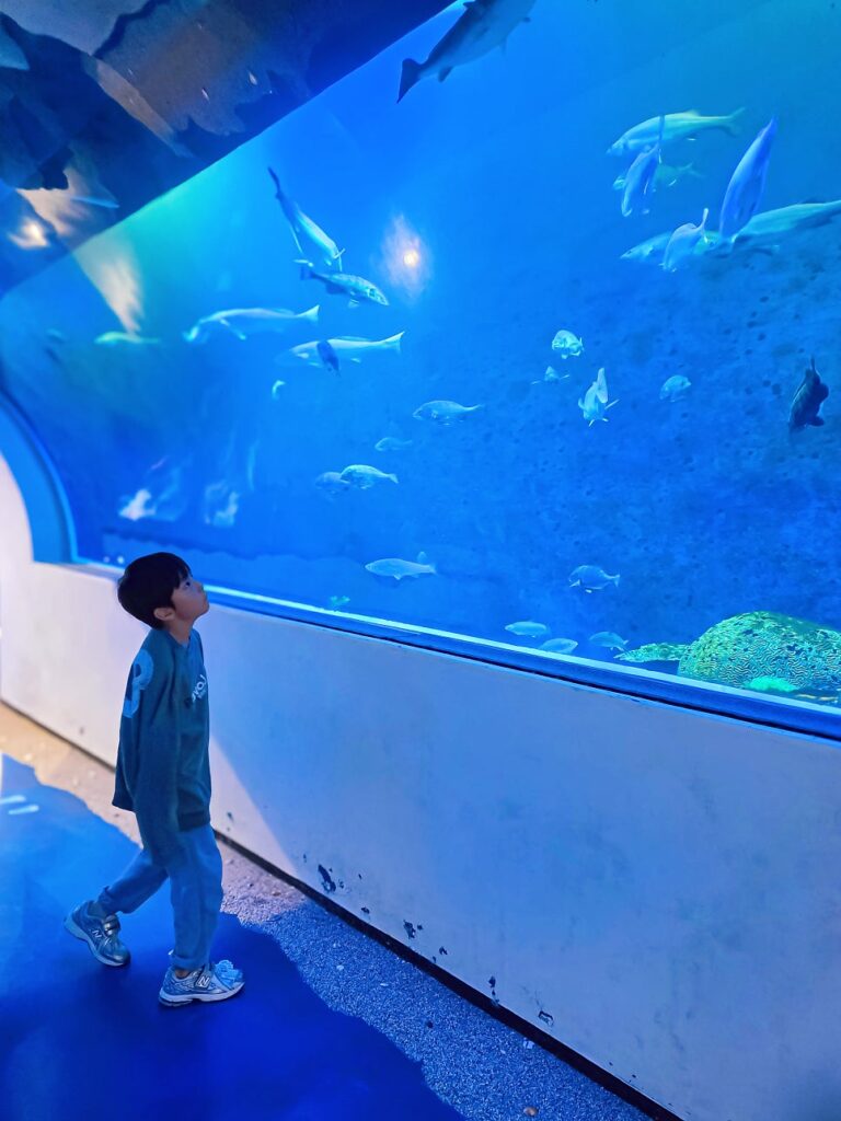 Fish overhead