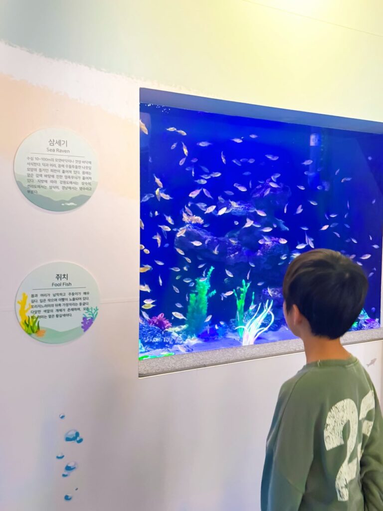 Aquarium tank