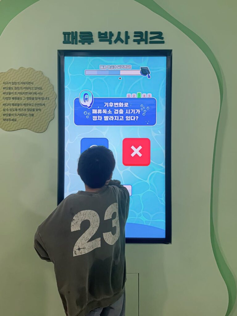 Shell displays