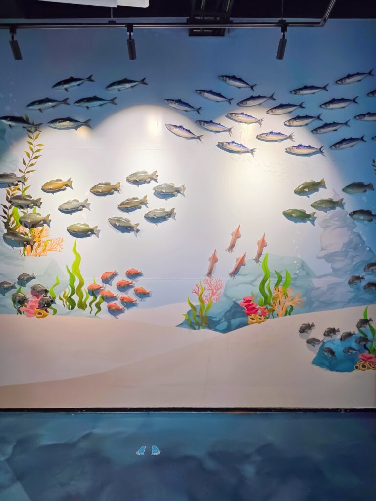 Shell crafts