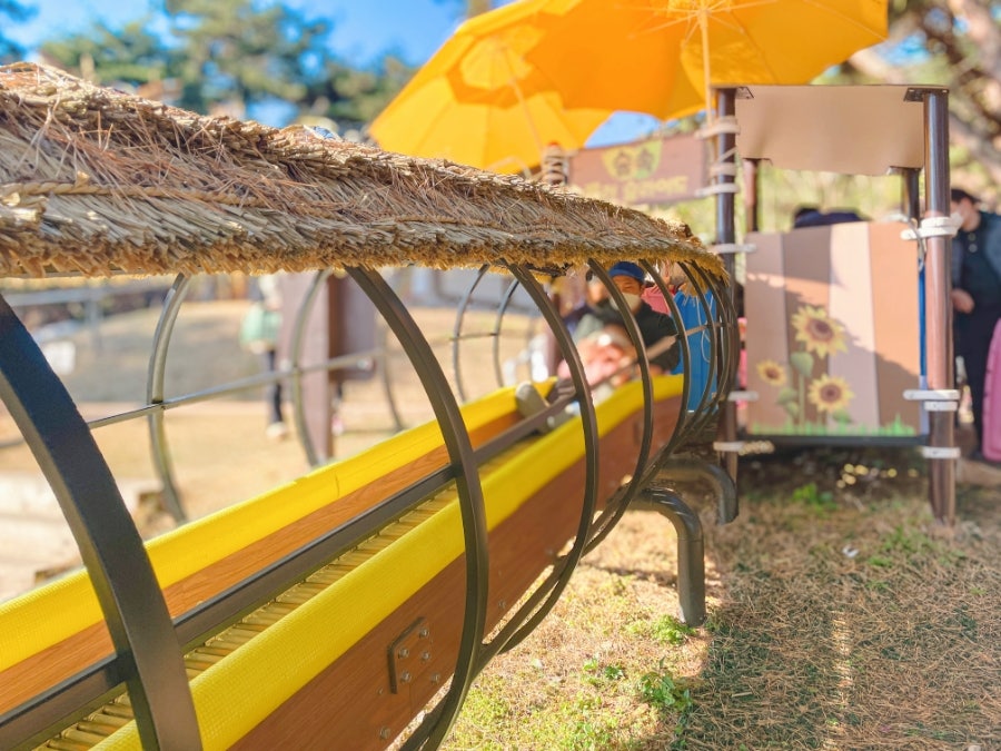 Traditional games
