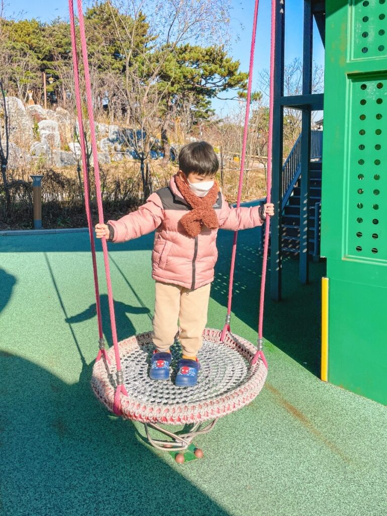 Mini Viking ride