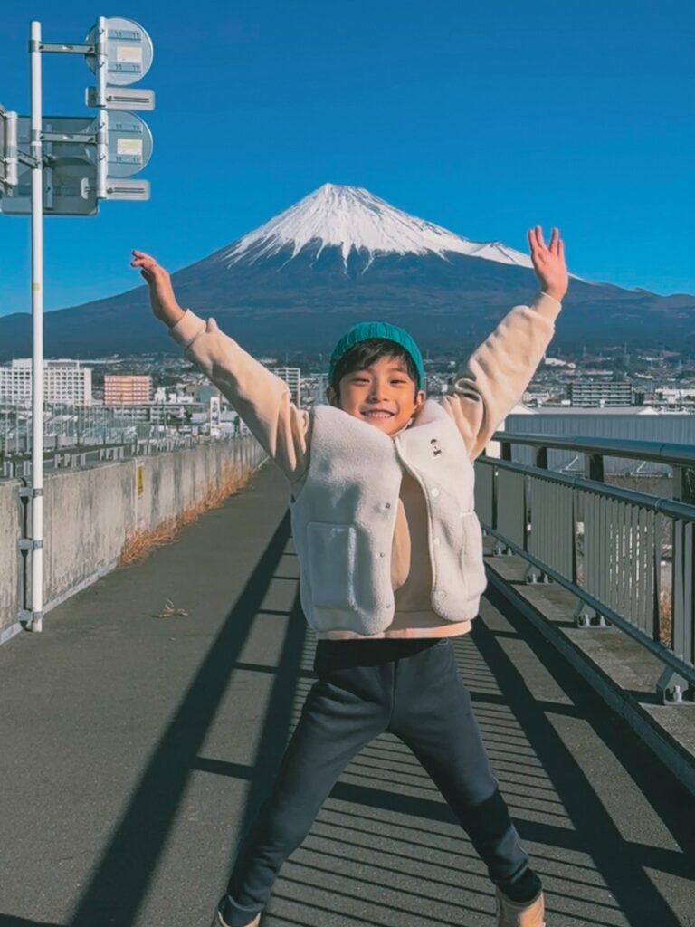 Fuji Dream Bridge