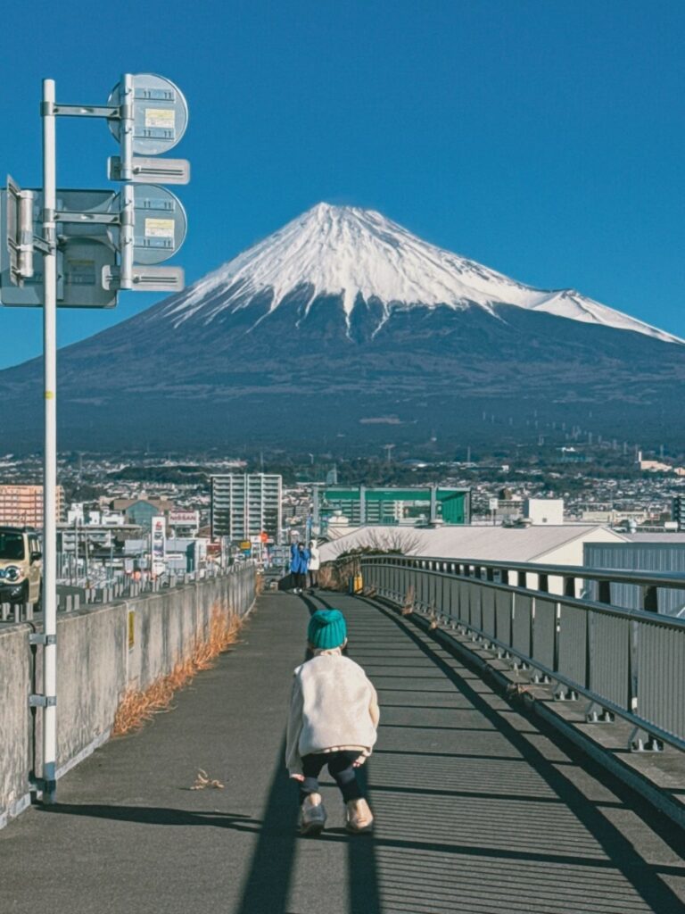 Mount Fuji from the bridge