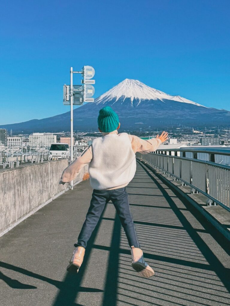 Fuji view