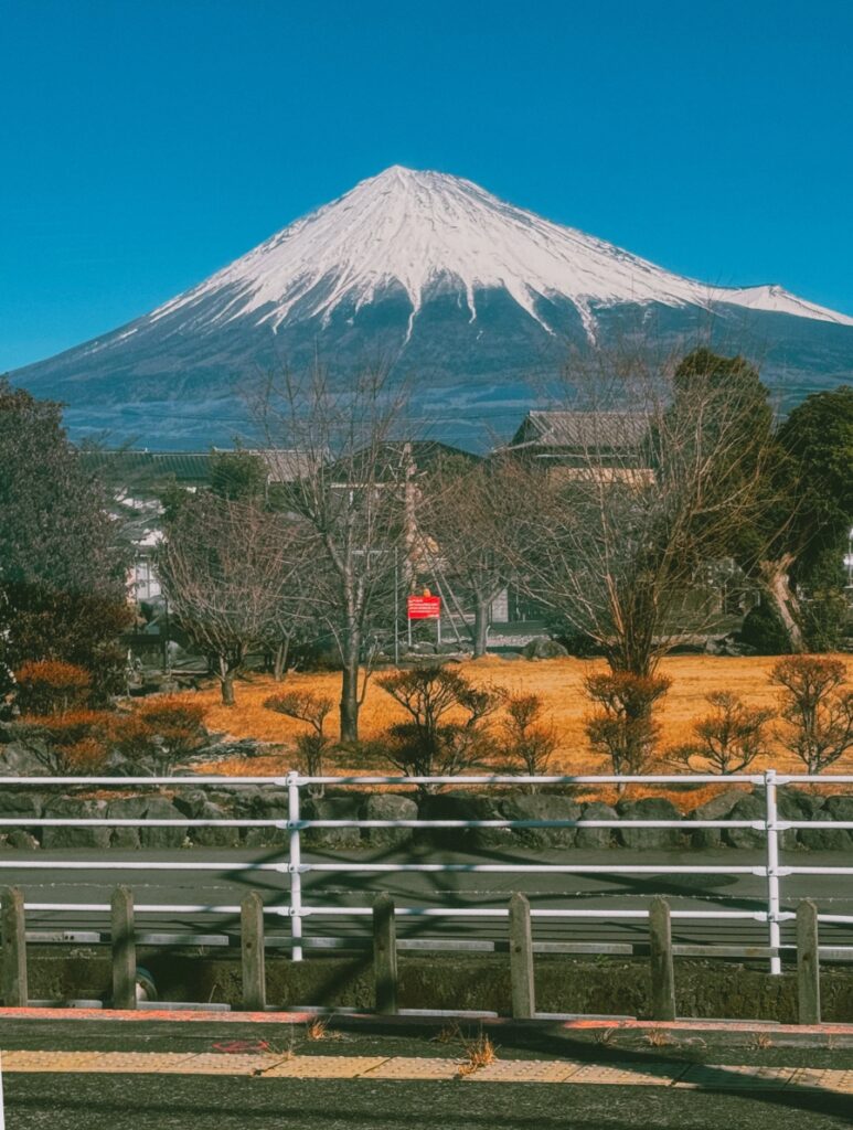 Bridge and Fuji