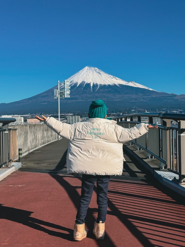 Snowy Fuji