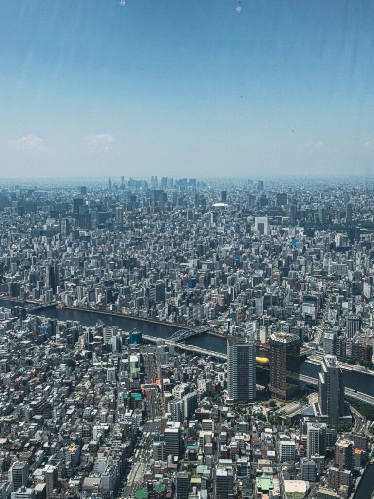 Observation deck view
