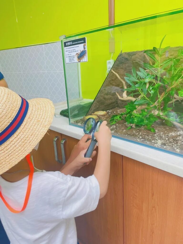 남해힐링숲타운 남해힐링숲타운, 자연 속 힐링과 배움이 함께하는 공간