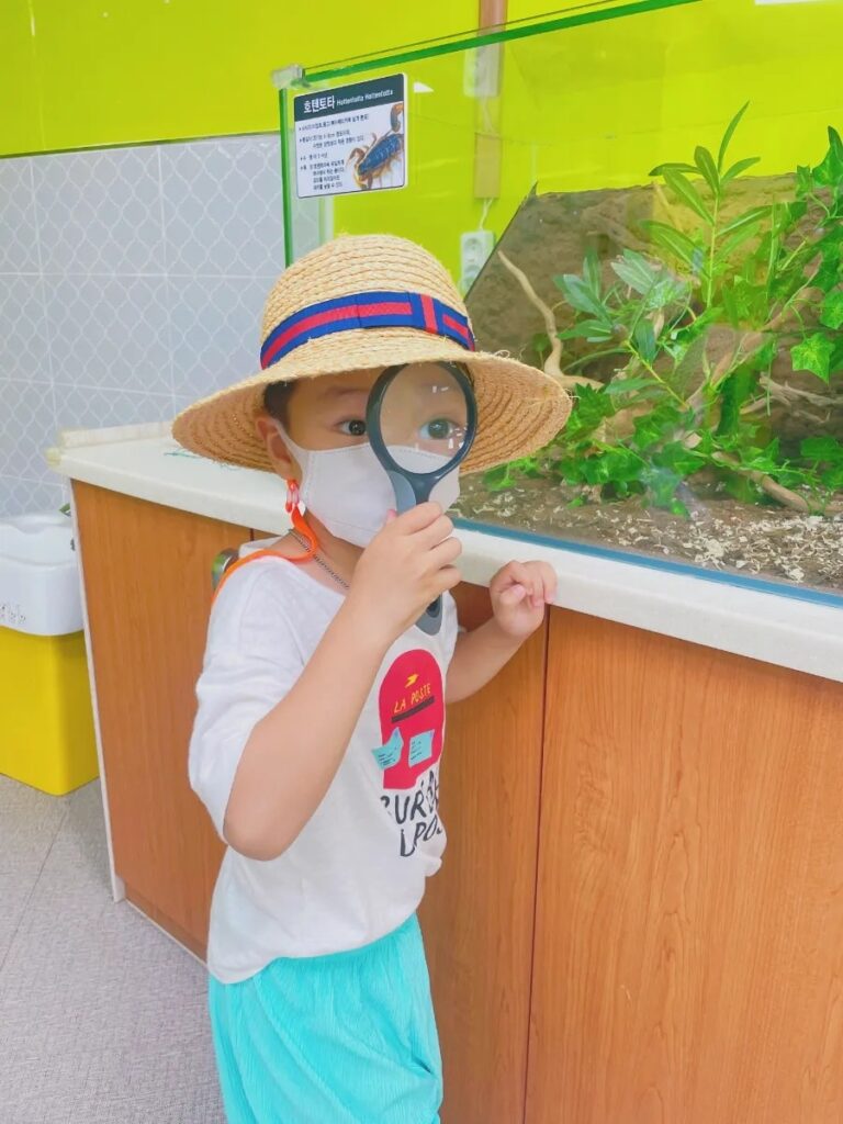 남해힐링숲타운 남해힐링숲타운, 자연 속 힐링과 배움이 함께하는 공간