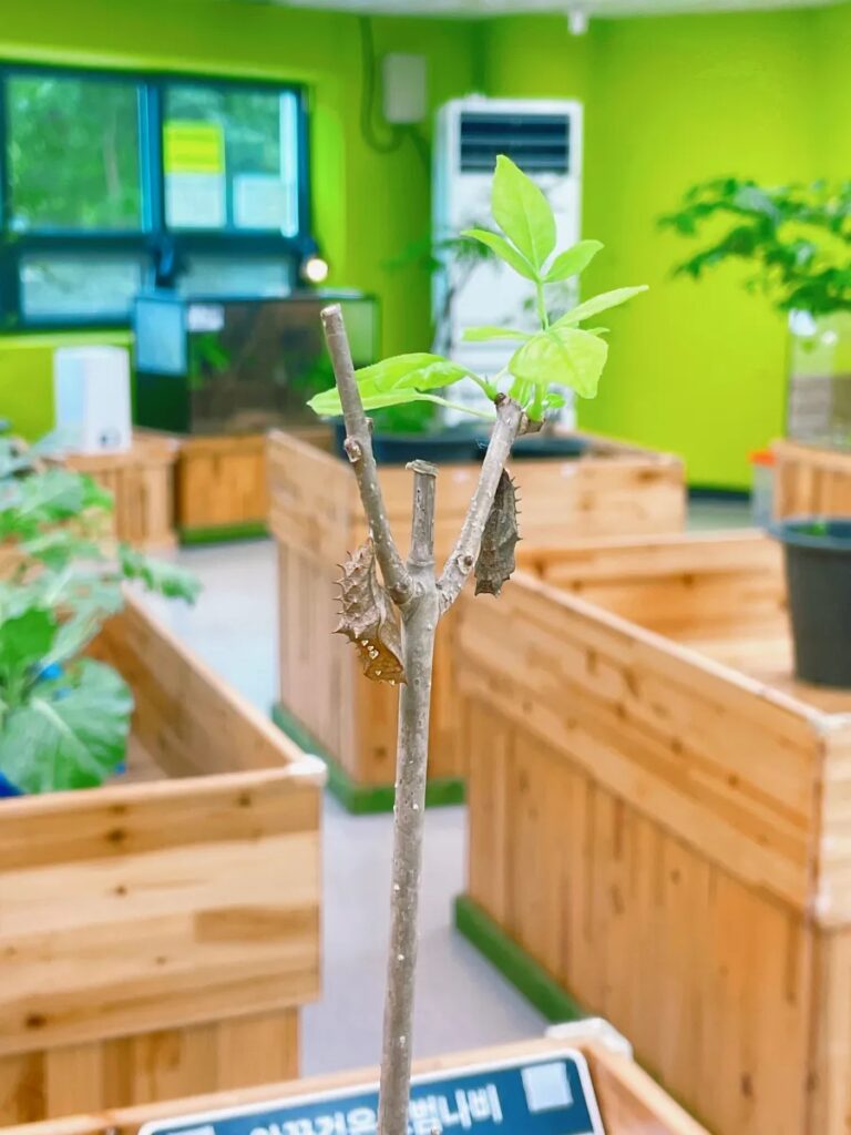 남해힐링숲타운 나비생태관, 살아있는 자연 속 배움의 공간