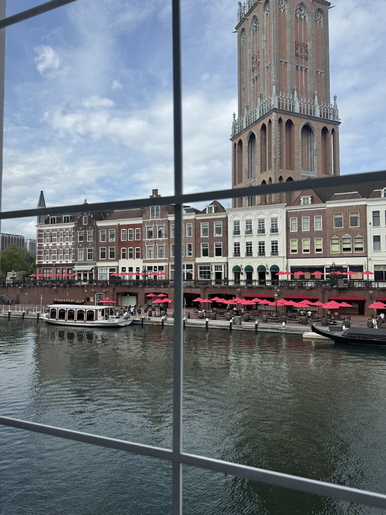 Morning view