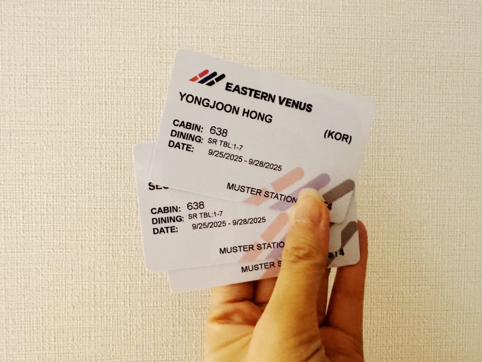 Cruise card