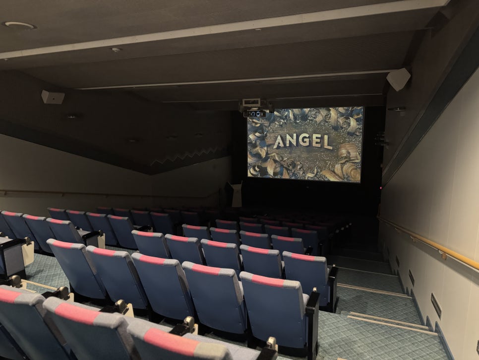 Onboard cinema