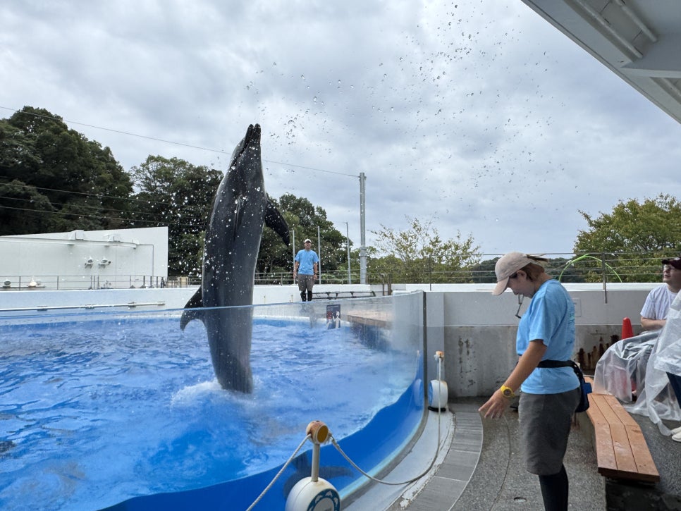 Umikirara Aquarium