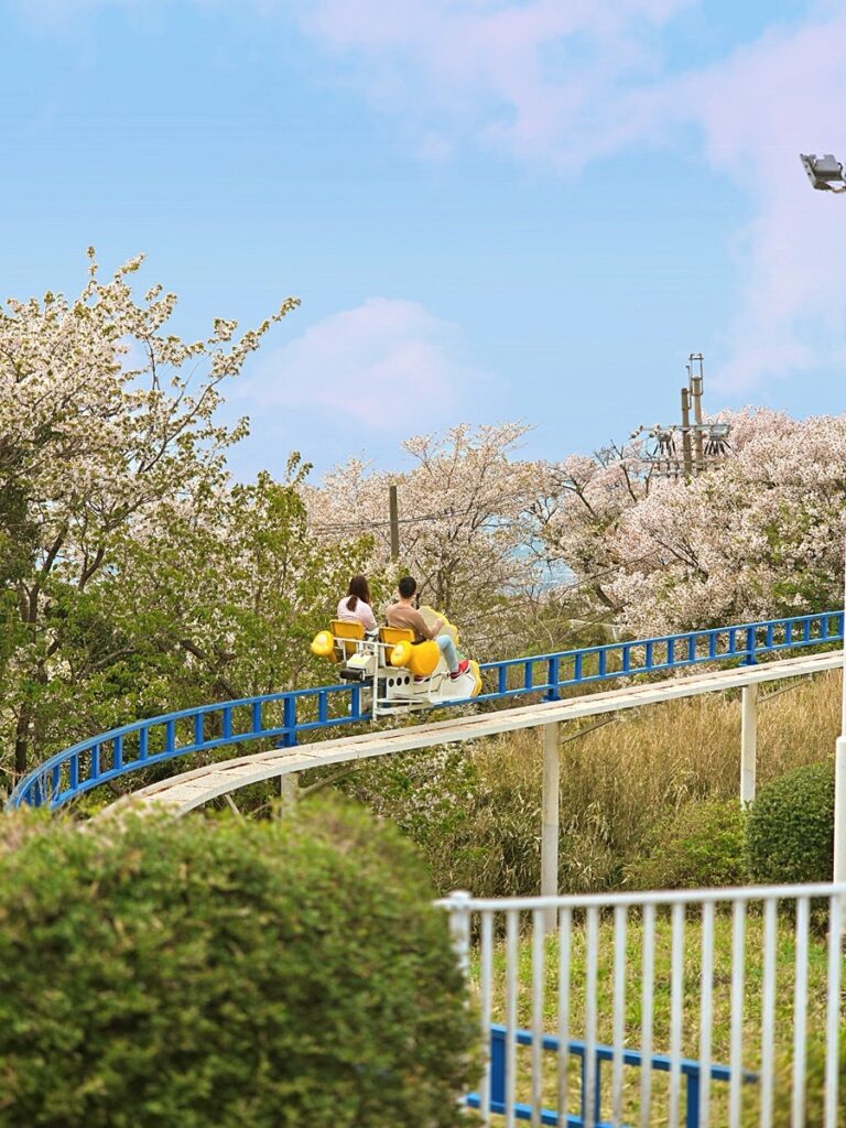 Ikoma mountain view